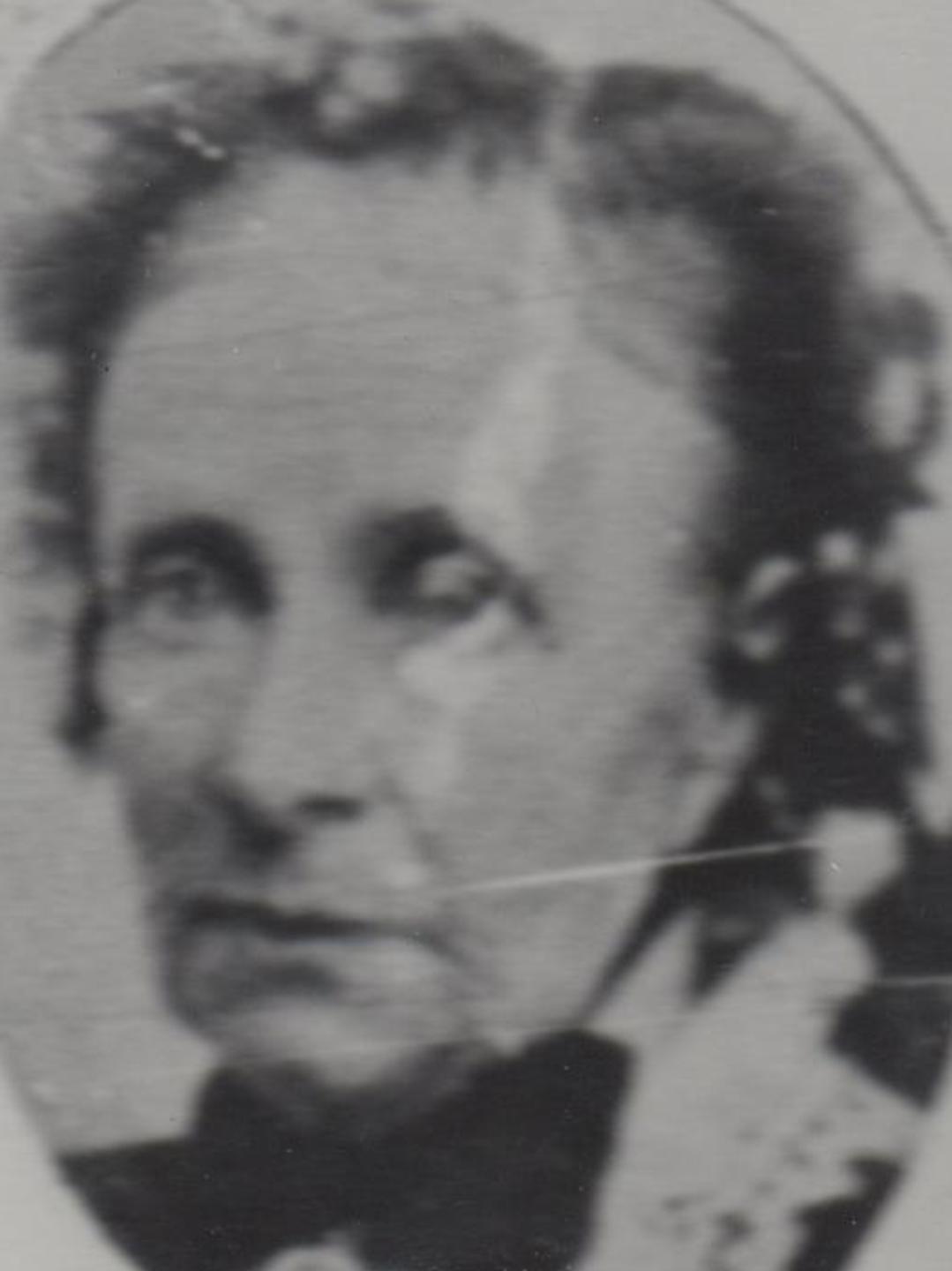 Hannah Willis (1811 - 1892) Profile